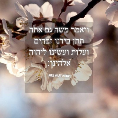 Picture 04 - שמות 10:25 HEB - ויאמר משה גם אתה תתן בידנו - Bible Verse Picture