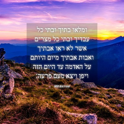 Picture 04 - שמות 10:6 HEB - ומלאו בתיך ובתי כל עבדיך - Bible Verse Picture