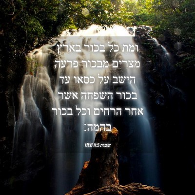 Picture 04 - שמות 11:5 HEB - ומת כל בכור בארץ מצרים - Bible Verse Picture