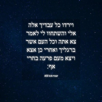 Picture 04 - שמות 11:8 HEB - וירדו כל עבדיך אלה אלי - Bible Verse Picture
