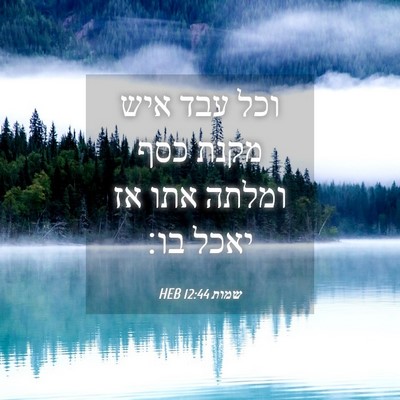 Picture 04 - שמות 12:44 HEB - וכל עבד איש מקנת כסף ומלתה - Bible Verse Picture