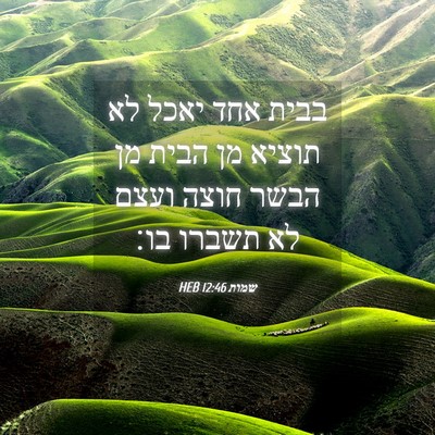 Picture 04 - שמות 12:46 HEB - בבית אחד יאכל לא תוציא מן - Bible Verse Picture