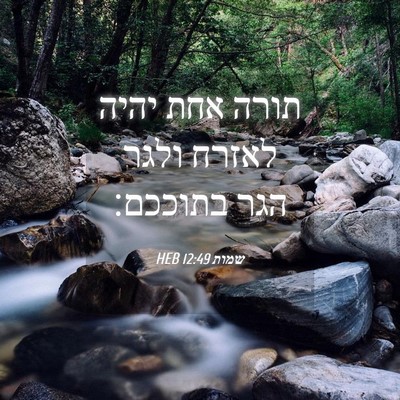 Picture 04 - שמות 12:49 HEB - תורה אחת יהיה לאזרח ולגר - Bible Verse Picture