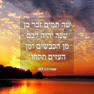 Picture 04 - שמות 12:5 HEB - שה תמים זכר בן שנה יהיה לכם - Bible Verse Picture