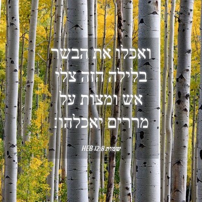 Picture 04 - שמות 12:8 HEB - ואכלו את הבשר בלילה הזה צלי - Bible Verse Picture