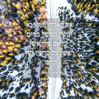 Picture 04 - שמות 12:9 HEB - אל תאכלו ממנו נא ובשל מבשל - Bible Verse Picture