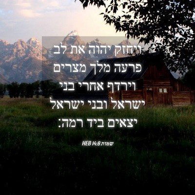 Picture 04 - שמות 14:8 HEB - ויחזק יהוה את לב פרעה מלך - Bible Verse Picture