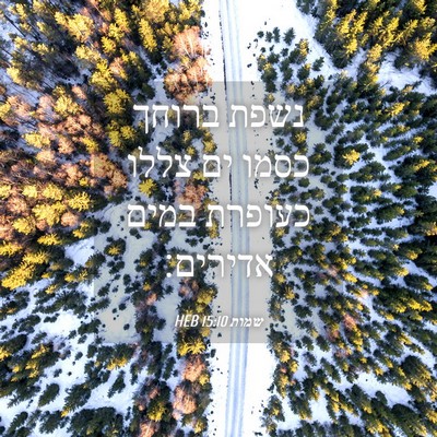 Picture 04 - שמות 15:10 HEB - נשפת ברוחך כסמו ים צללו - Bible Verse Picture