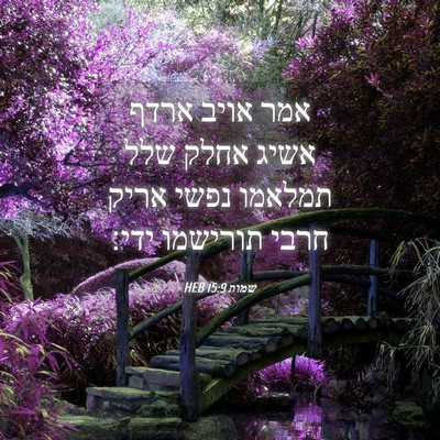 Picture 04 - שמות 15:9 HEB - אמר אויב ארדף אשיג אחלק שלל - Bible Verse Picture