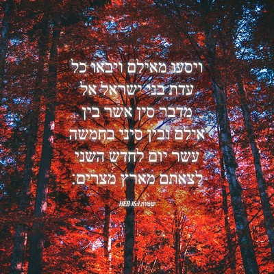 Picture 04 - שמות 16:1 HEB - ויסעו מאילם ויבאו כל עדת - Bible Verse Picture