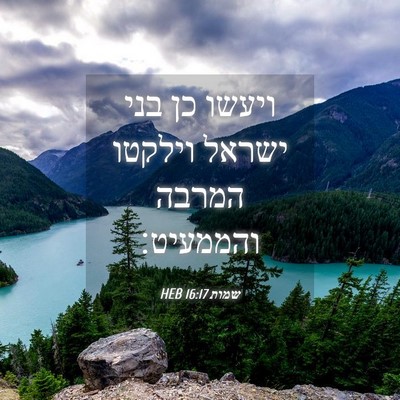 Picture 04 - שמות 16:17 HEB - ויעשו כן בני ישראל וילקטו - Bible Verse Picture
