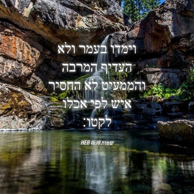 Picture 04 - שמות 16:18 HEB - וימדו בעמר ולא העדיף המרבה - Bible Verse Picture