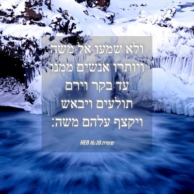 Picture 04 - שמות 16:20 HEB - ולא שמעו אל משה ויותרו - Bible Verse Picture