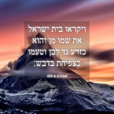Picture 04 - שמות 16:31 HEB - ויקראו בית ישראל את שמו מן - Bible Verse Picture