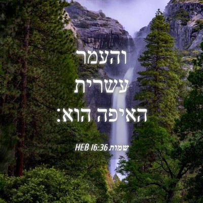 Picture 04 - שמות 16:36 HEB - והעמר עשרית האיפה - Bible Verse Picture