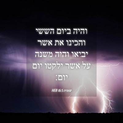 Picture 04 - שמות 16:5 HEB - והיה ביום הששי והכינו את - Bible Verse Picture