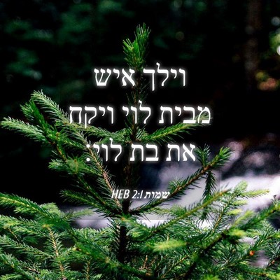 Picture 04 - שמות 2:1 HEB - וילך איש מבית לוי ויקח את - Bible Verse Picture