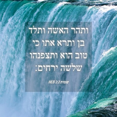 Picture 04 - שמות 2:2 HEB - ותהר האשה ותלד בן ותרא אתו - Bible Verse Picture