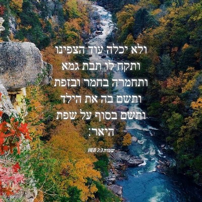 Picture 04 - שמות 2:3 HEB - ולא יכלה עוד הצפינו ותקח לו - Bible Verse Picture