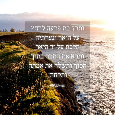 Picture 04 - שמות 2:5 HEB - ותרד בת פרעה לרחץ על היאר - Bible Verse Picture