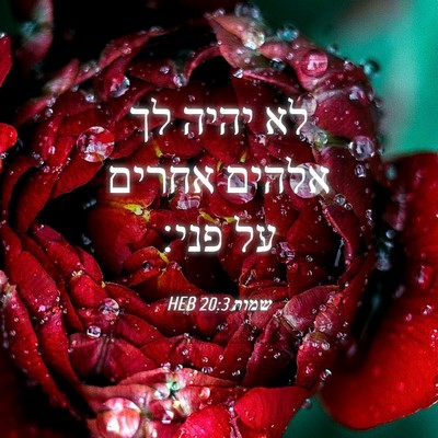 Picture 04 - שמות 20:3 HEB - לא יהיה לך אלהים אחרים על - Bible Verse Picture
