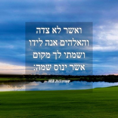 Picture 04 - שמות 21:13 HEB - ואשר לא צדה והאלהים אנה - Bible Verse Picture