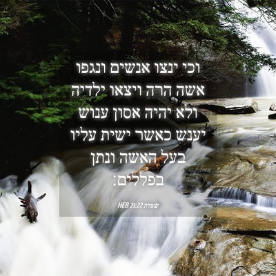 Picture 04 - שמות 21:22 HEB - וכי ינצו אנשים ונגפו אשה - Bible Verse Picture