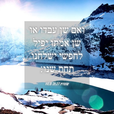 Picture 04 - שמות 21:27 HEB - ואם שן עבדו או שן אמתו יפיל - Bible Verse Picture