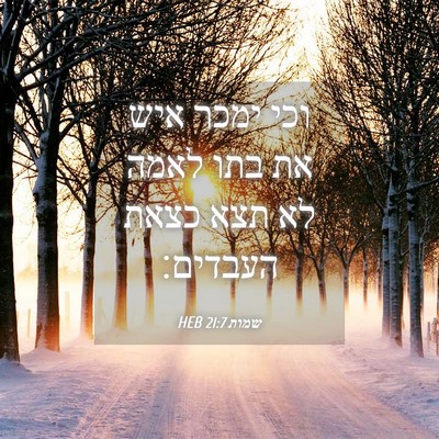 Picture 04 - שמות 21:7 HEB - וכי ימכר איש את בתו לאמה לא - Bible Verse Picture