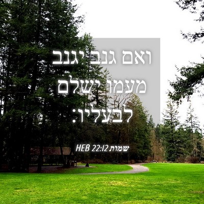 Picture 04 - שמות 22:12 HEB - ואם גנב יגנב מעמו ישלם - Bible Verse Picture