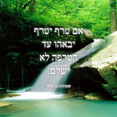 Picture 04 - שמות 22:13 HEB - אם טרף יטרף יבאהו עד הטרפה - Bible Verse Picture