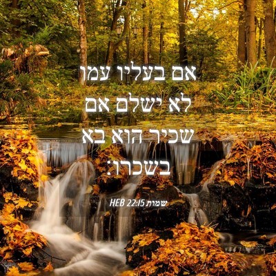 Picture 04 - שמות 22:15 HEB - אם בעליו עמו לא ישלם אם - Bible Verse Picture
