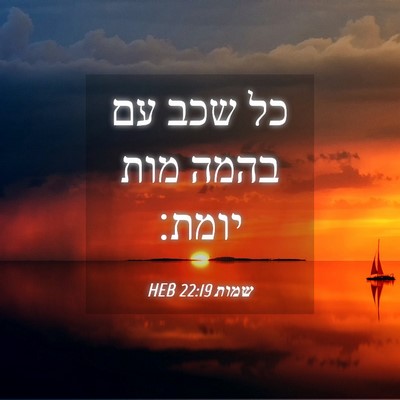 Picture 04 - שמות 22:19 HEB - כל שכב עם בהמה מות - Bible Verse Picture