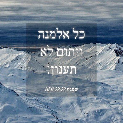 Picture 04 - שמות 22:22 HEB - כל אלמנה ויתום לא - Bible Verse Picture