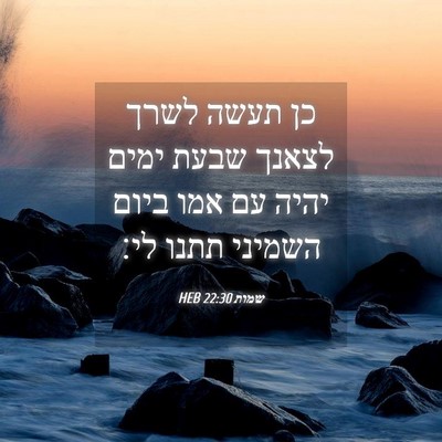 Picture 04 - שמות 22:30 HEB - כן תעשה לשרך לצאנך שבעת - Bible Verse Picture