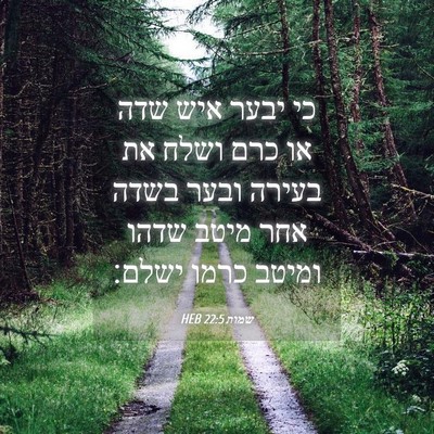 Picture 04 - שמות 22:5 HEB - כי יבער איש שדה או כרם ושלח - Bible Verse Picture