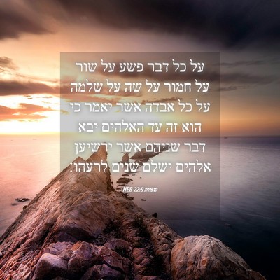 Picture 04 - שמות 22:9 HEB - על כל דבר פשע על שור על חמור - Bible Verse Picture