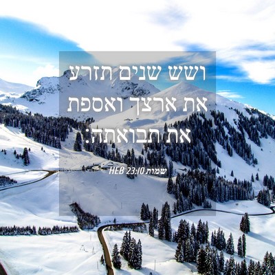Picture 04 - שמות 23:10 HEB - ושש שנים תזרע את ארצך ואספת - Bible Verse Picture