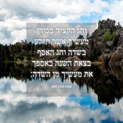 Picture 04 - שמות 23:16 HEB - וחג הקציר בכורי מעשיך אשר - Bible Verse Picture