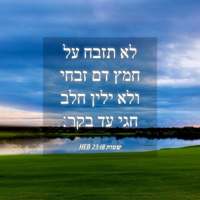 Picture 04 - שמות 23:18 HEB - לא תזבח על חמץ דם זבחי ולא - Bible Verse Picture