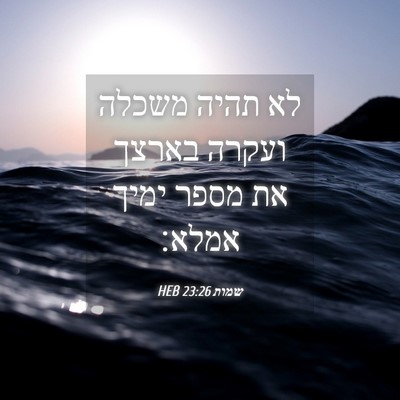Picture 04 - שמות 23:26 HEB - לא תהיה משכלה ועקרה בארצך - Bible Verse Picture
