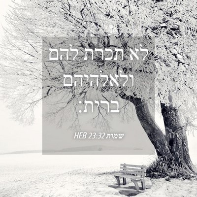 Picture 04 - שמות 23:32 HEB - לא תכרת להם ולאלהיהם - Bible Verse Picture