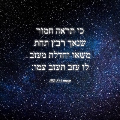 Picture 04 - שמות 23:5 HEB - כי תראה חמור שנאך רבץ תחת - Bible Verse Picture