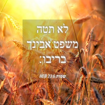 Picture 04 - שמות 23:6 HEB - לא תטה משפט אבינך - Bible Verse Picture