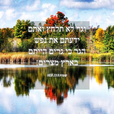 Picture 04 - שמות 23:9 HEB - וגר לא תלחץ ואתם ידעתם את - Bible Verse Picture