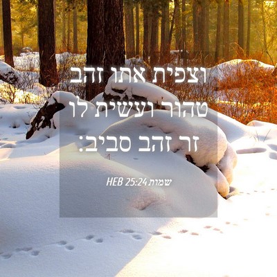 Picture 04 - שמות 25:24 HEB - וצפית אתו זהב טהור ועשית לו - Bible Verse Picture