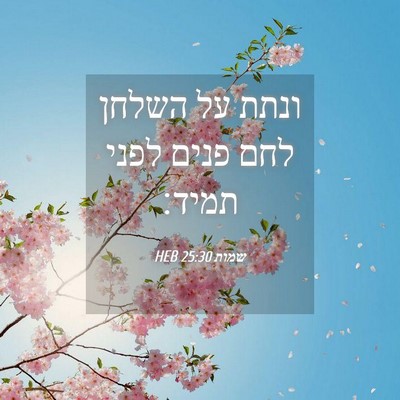 Picture 04 - שמות 25:30 HEB - ונתת על השלחן לחם פנים לפני - Bible Verse Picture