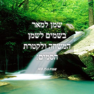 Picture 04 - שמות 25:6 HEB - שמן למאר בשמים לשמן המשחה - Bible Verse Picture