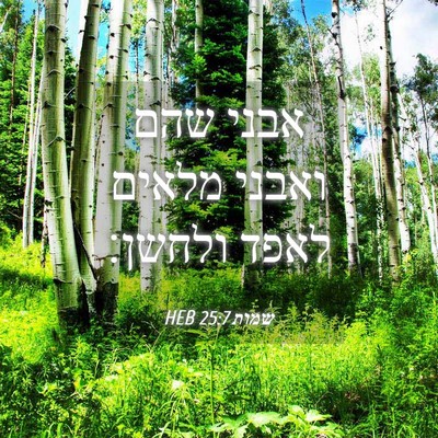 Picture 04 - שמות 25:7 HEB - אבני שהם ואבני מלאים לאפד - Bible Verse Picture