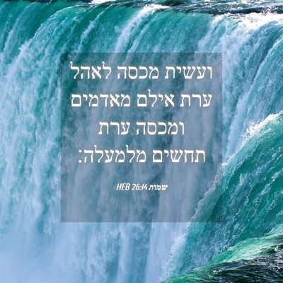 Picture 04 - שמות 26:14 HEB - ועשית מכסה לאהל ערת אילם - Bible Verse Picture